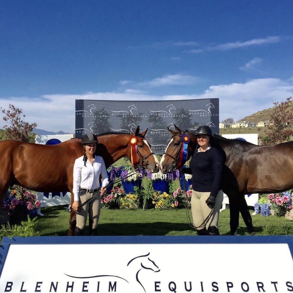 Dana Smith Show Team - Horseback Riding Near Me - San Juan Capistrano, California