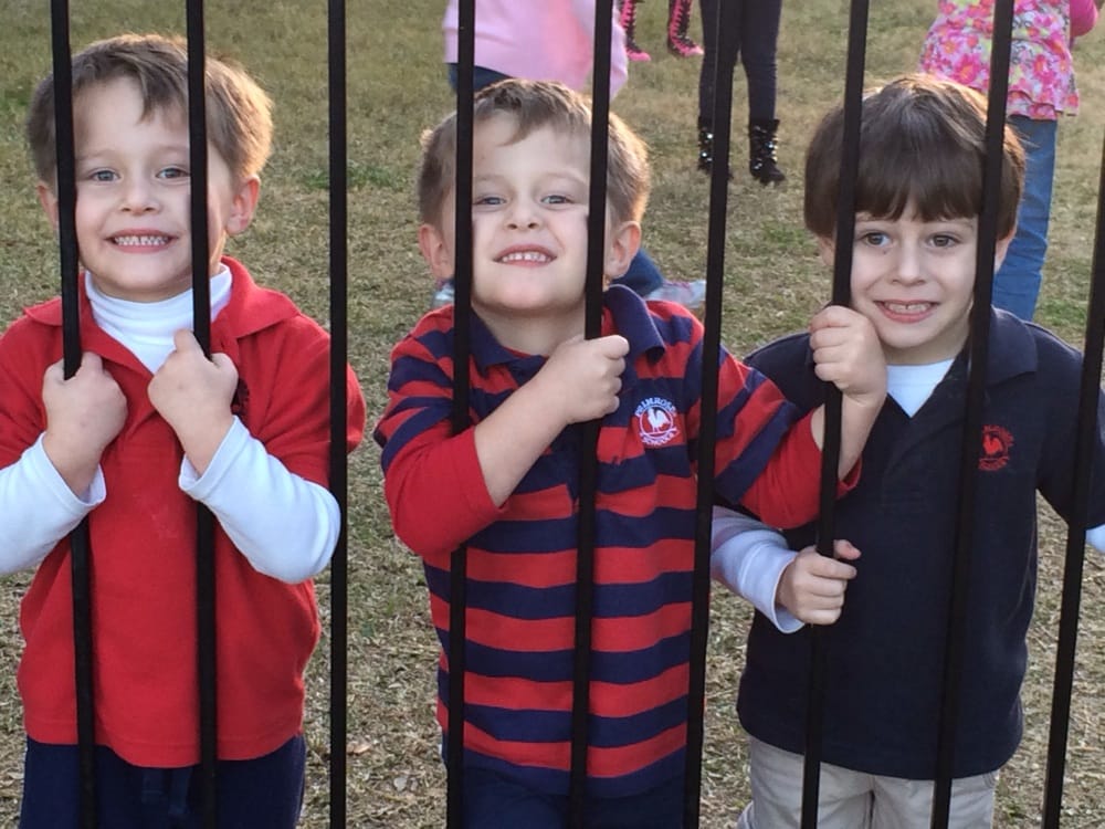 Primrose School of Eldridge Parkway - childcare center in Houston, TX