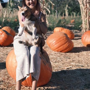 Bates Nut Farm - Specialty Food Near Me - Valley Center, California