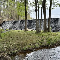 Kings Mountain State Park