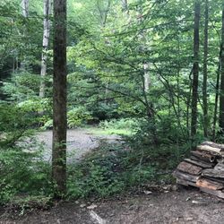 Great Trail Arts & Crafts Festival - So green and beautiful walking around the festival