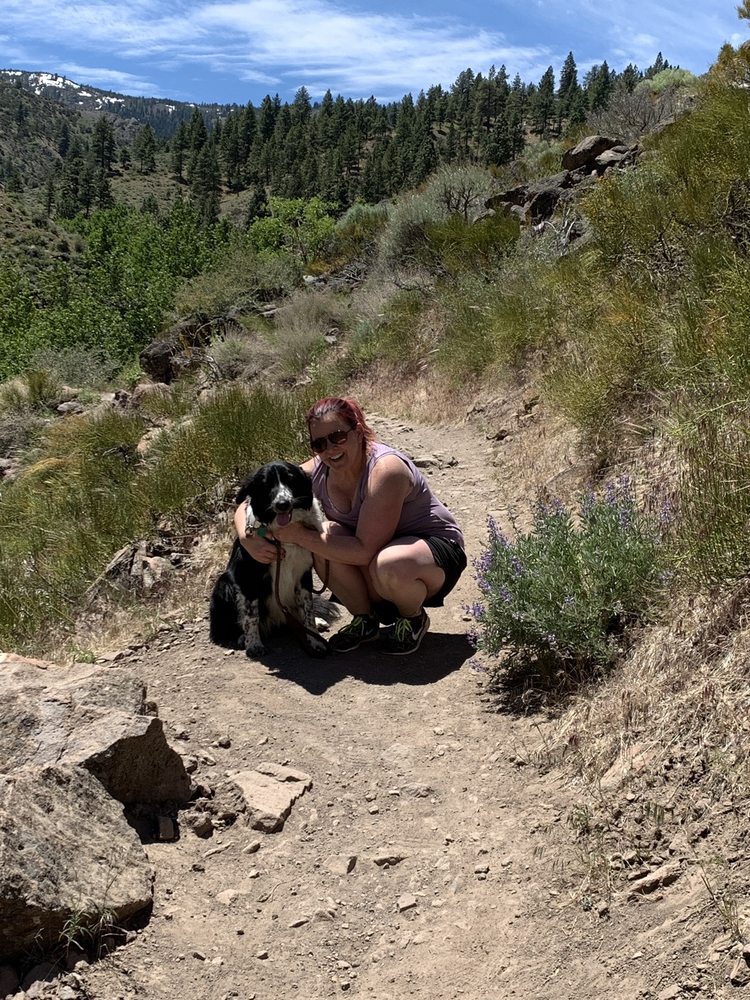 Washoe County Regional Parks and Open Spaces - social services organization in Reno, NV