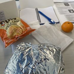 All About Lunch - Sorry didn't get a pic of the sandwich open but it was a great portion size and also came with chips, a cookie, and a clementine.