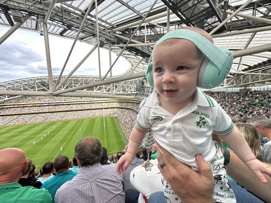 Aviva Stadium by null