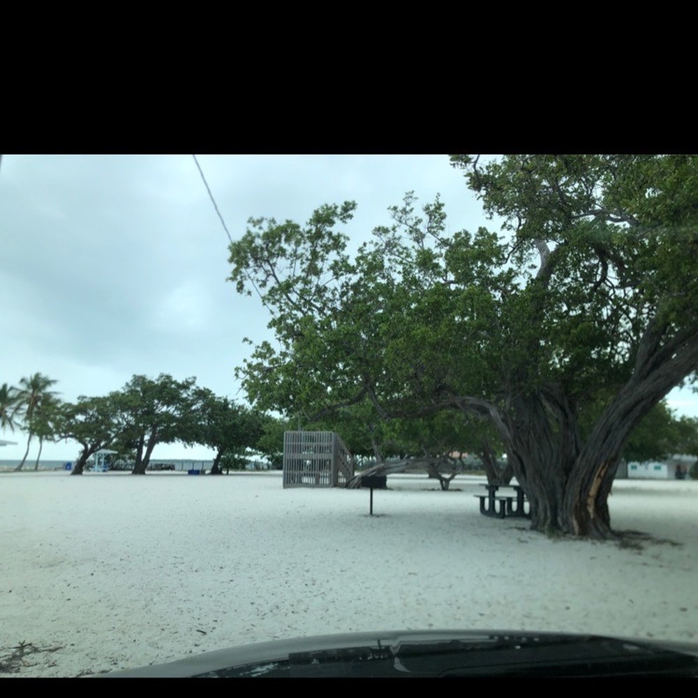 Harry Harris Park - Parks Near Me - Key Largo, Florida Harry Harris Park - Parks Near Me - Key Largo, Florida