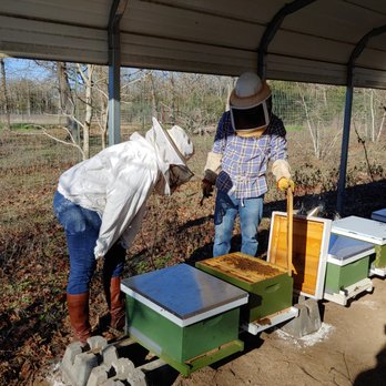 PachaMama Bees - Honey bee colonies for agricultural tax valuation. - Pest Control Near Me PachaMama Bees - Honey bee colonies for agricultural tax valuation. - Pest Control Near Me