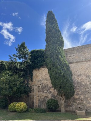 Passeig Arqueològic by null