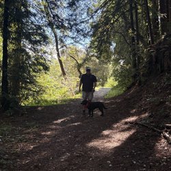 Byrne-Milliron Forest - Stay on the middle of the trail and away from poison oak