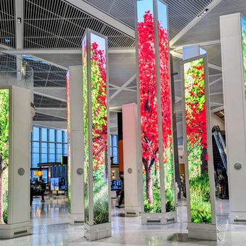 Newark New Terminal A - Missed my Yelp sister Joanna V by 12 hours. Digital artwork inspired by New Jersey woodlands - Airport Terminals Near Me - Newark, New Jersey