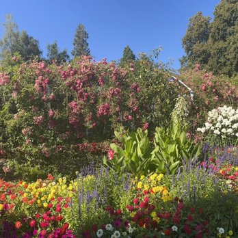 Point Defiance Park - Parks Near Me - Tacoma, Washington Point Defiance Park - Parks Near Me - Tacoma, Washington
