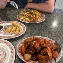 Treasure Dragon - Garlic chicken and the four seasons and gyoza