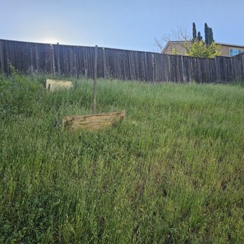 Roberto Alfaro Landscaping - Lawn Services Near Me - Pittsburg, California Roberto Alfaro Landscaping - Lawn Services Near Me - Pittsburg, California