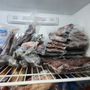 Junction Deer Processing