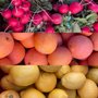 Photo of Local Harvest Delivery