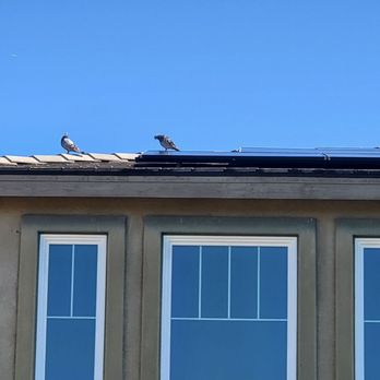 Premier Solar Cleaning - Some birds already returned and seemed to love their freshly cleaned home. The owner's wife told me $400-$500 to have them out again. - Solar Panel Cleaning Near Me - Lake Elsinore, California