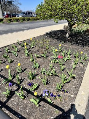 Baptist East Coffee Shop