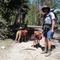 Inyo National Forest - Zuma and Mazu. Dogs I met on the trail.