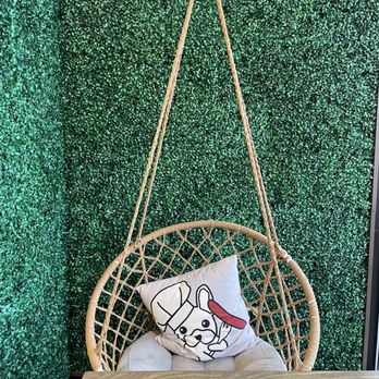 Dawg Park - Dining chair - Hot Dogs Near Me - Glenview, Illinois