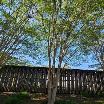 Birmingham Botanical Gardens - Birmingham Botanical Gardens - Venues & Event Spaces Near Me - Birmingham, Alabama Birmingham Botanical Gardens - Birmingham Botanical Gardens - Venues & Event Spaces Near Me - Birmingham, Alabama