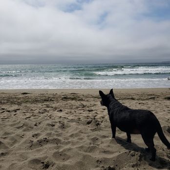 Dillon Beach - Beaches Near Me - Dillon Beach, California Dillon Beach - Beaches Near Me - Dillon Beach, California