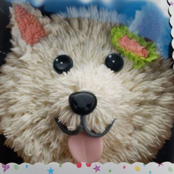 Sunshine's Cakes - Cake time! - Custom Cakes Near Me Sunshine's Cakes - Cake time! - Custom Cakes Near Me