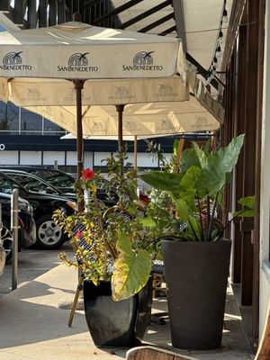 Cafe Rabelais by null