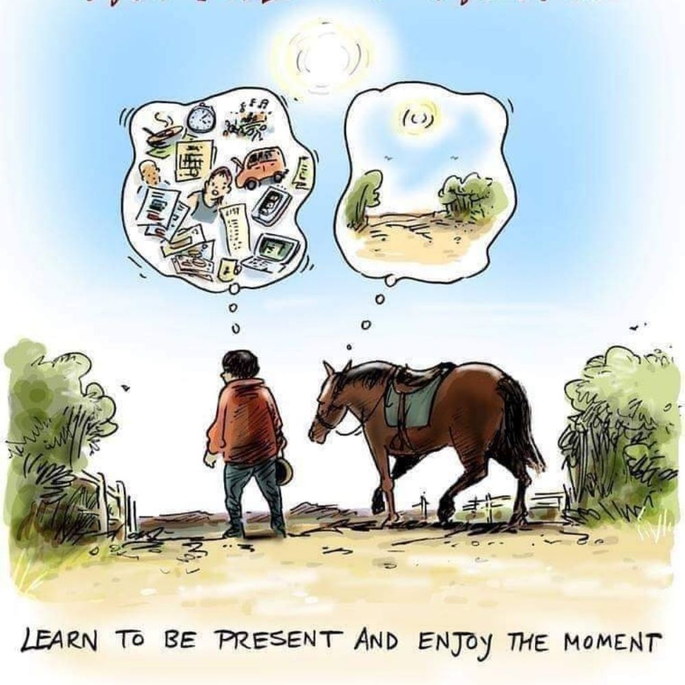 Transitions Stables and Equine Therapy of Virginia - equestrian in Nathalie, VA