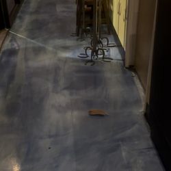 Rodent in las cazuelas restaurant