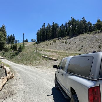 Guffy Campground - Passing Mt. High trails on the way up to this campground. I definitely miss cruising down this hill on a snowboard! - Campgrounds Near Me - Wrightwood, California