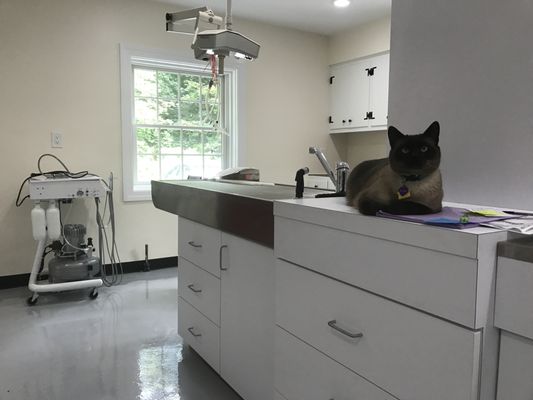 Setauket Animal Hospital 86 Gnarled Hollow Rd East Setauket Ny Veterinarians Mapquest