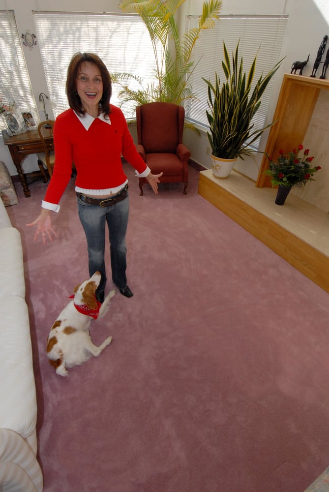 POWER CLEAN CARPET CLEANING Updated October 2024 18 Photos 631 E