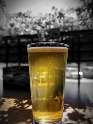 Blue Moose Bar & Grill by null