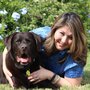 Photo of Zen Hart Counseling & Consulting
