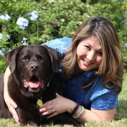 Zen Hart Counseling & Consulting - Charlie - Pet Therapy Certified