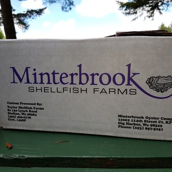 Minterbrook Oyster - Box Of 1 Dozen Medium Oysters, $10 - Seafood Markets Near Me - Gig Harbor, Washington Minterbrook Oyster - Box Of 1 Dozen Medium Oysters, $10 - Seafood Markets Near Me - Gig Harbor, Washington