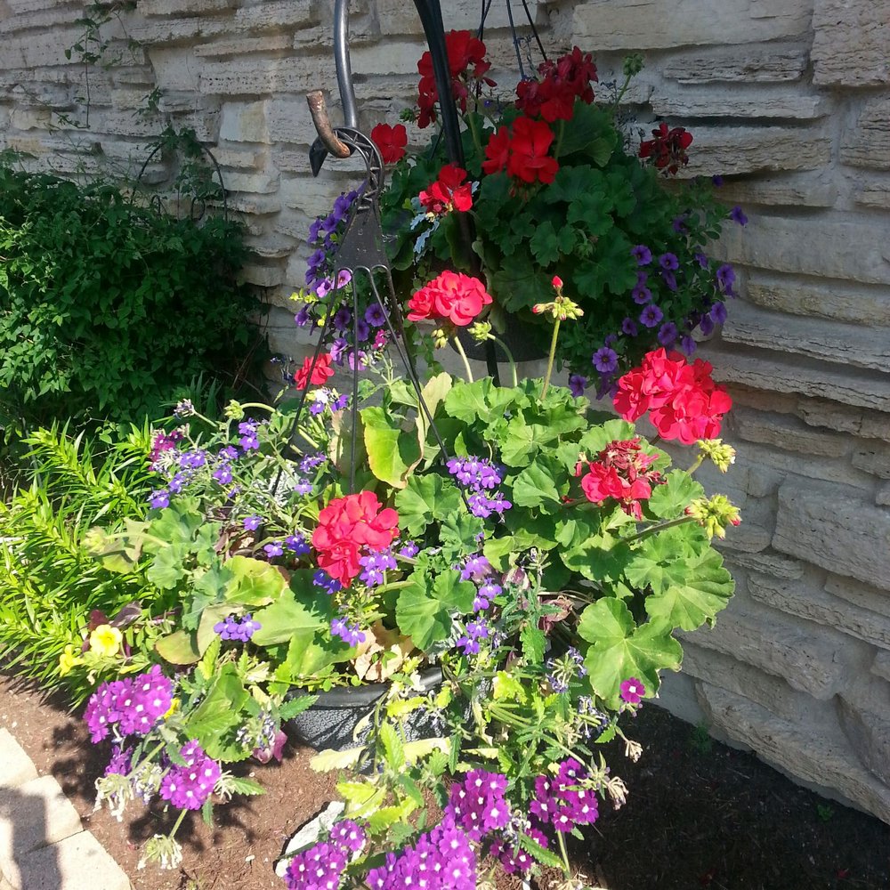a hanging basket of flowers in front of a stone wall a hanging basket of flowers in front of a stone wall