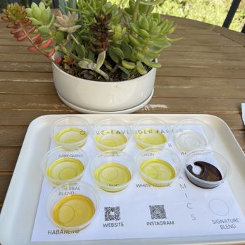 Olive + Lavender Farms - Attraction Farms Near Me - Los Olivos, California Olive + Lavender Farms - Attraction Farms Near Me - Los Olivos, California