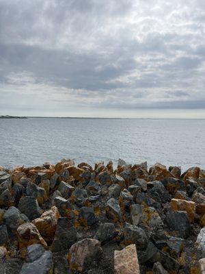 Cliff Walk by null