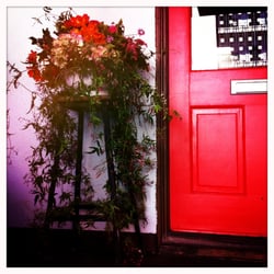 Gorgeous flowers for pick up and delivery as well as weddings and events.