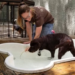 The Funky Mutt Market - Juke is having fun with Marie in his doggie swimming pool!