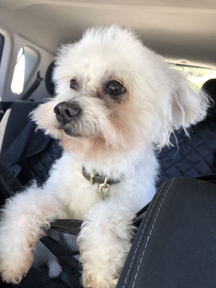 BED AND BISCUITS OF MARIN Updated July 2024 13 Photos & 51 Reviews