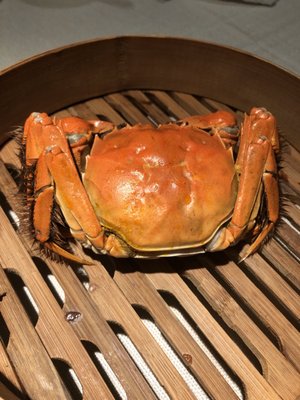 Imperial Treasure Fine Shanghai Cuisine by null