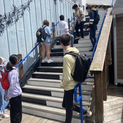 Musical Stairs - So many stairs ....