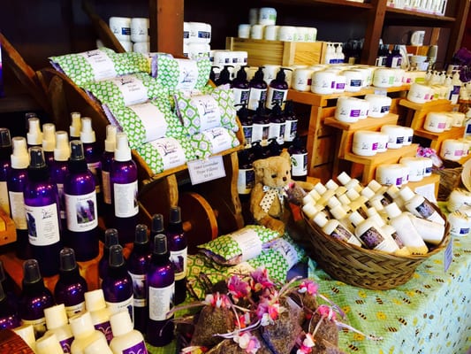 Sequim Lavender Festival by null