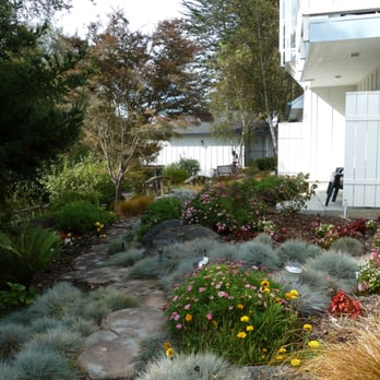 Bluebird Inn - Autumnal gardenscape - Hotels Near Me - Cambria, California Bluebird Inn - Autumnal gardenscape - Hotels Near Me - Cambria, California
