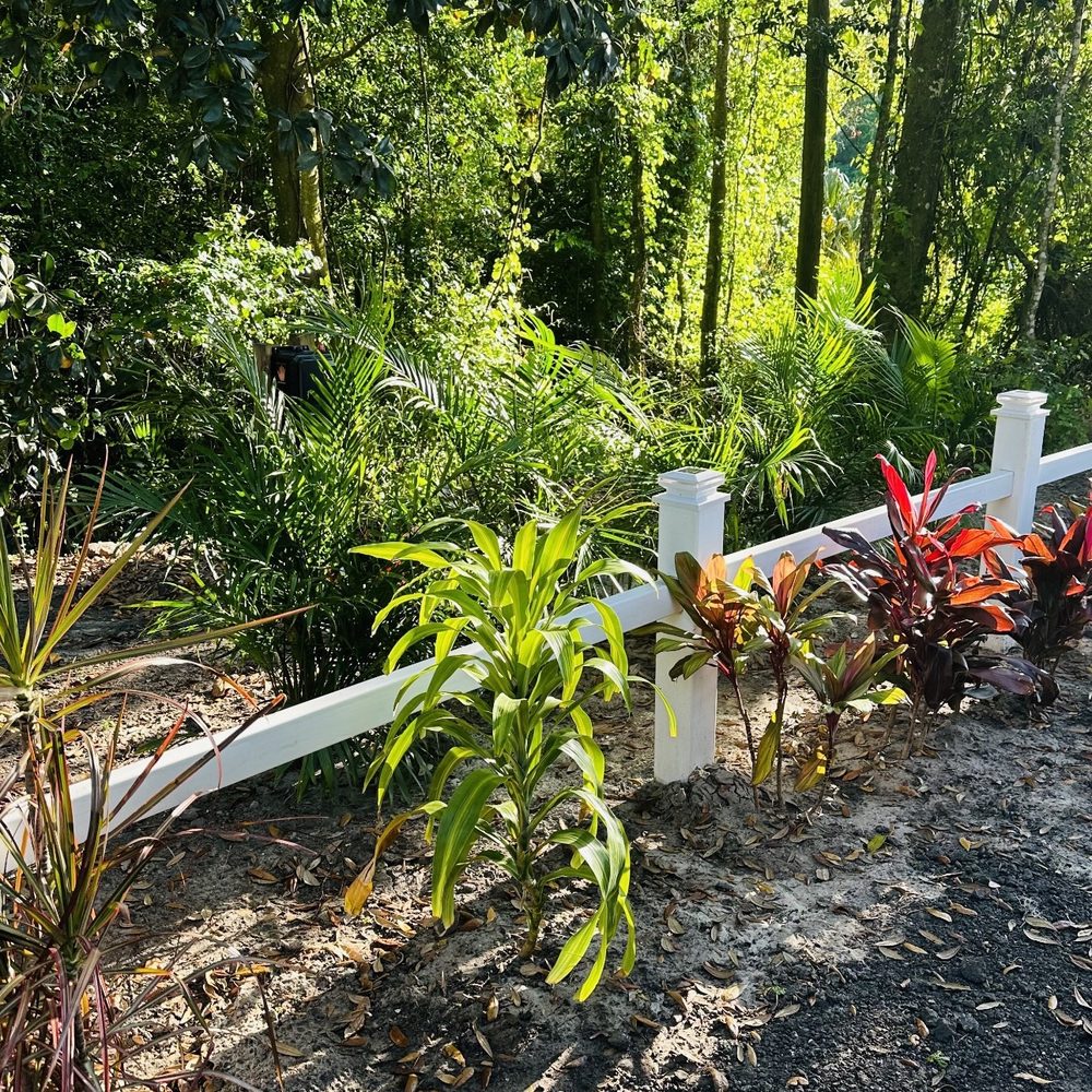 St John’s Campgrounds - Beautiful Florida plants - Campgrounds Near Me - East Palatka, Florida St John’s Campgrounds - Beautiful Florida plants - Campgrounds Near Me - East Palatka, Florida