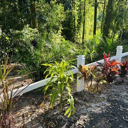 St John’s Campgrounds - Beautiful Florida plants