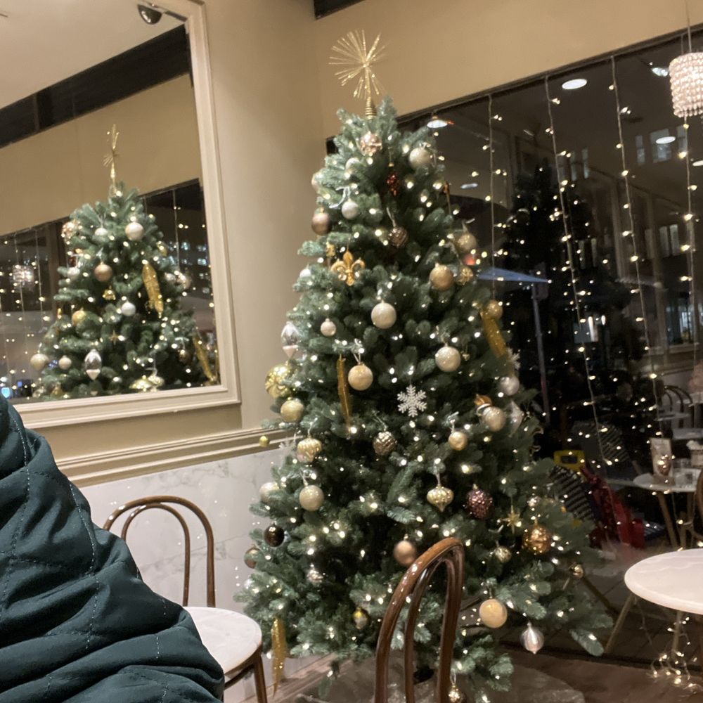 Faubourg - Christmas Tree! - Bakeries Near Me - Vancouver, British Columbia Faubourg - Christmas Tree! - Bakeries Near Me - Vancouver, British Columbia