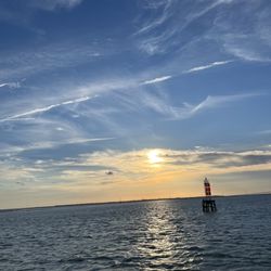 Osprey Cruises