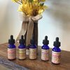 CBD American Shaman Fogelsville gift card